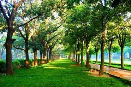 Cubbon Park